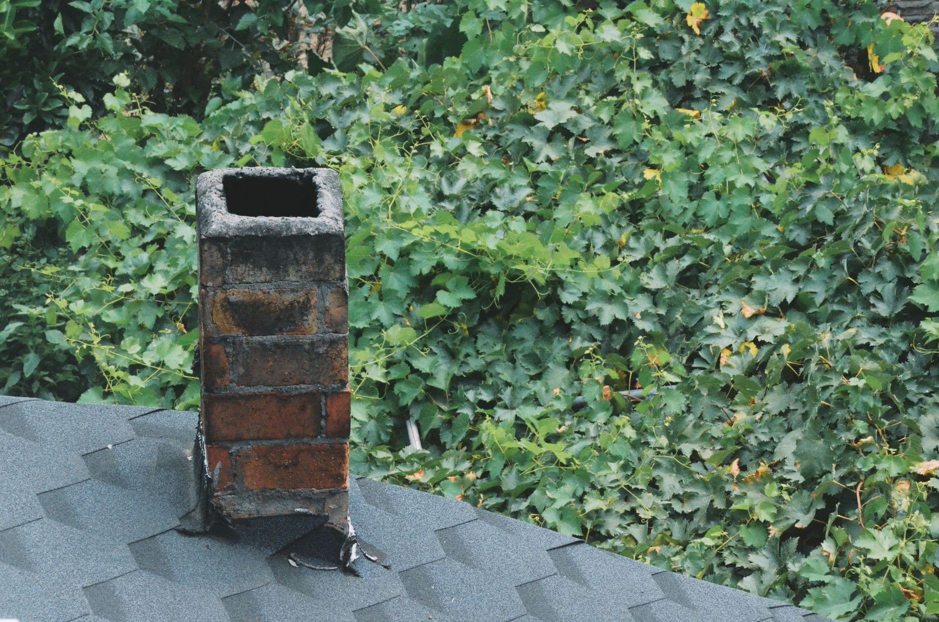 A rustic brick chimney on a shingled roof with vibrant leafy background.
